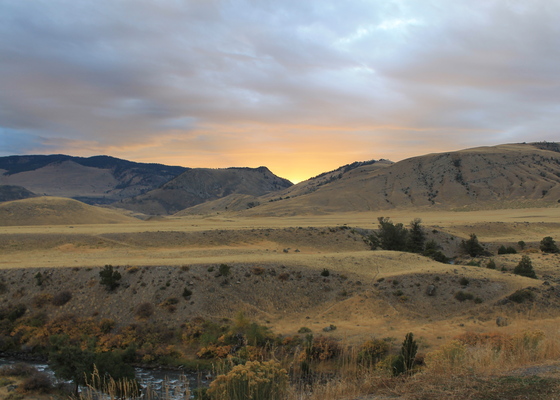 Yellowstone National Park