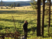Yellowstone National Park