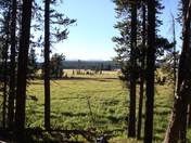 Yellowstone National Park 