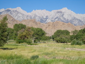 Inyo National Forest