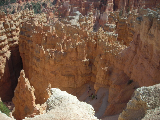 Bryce National Park