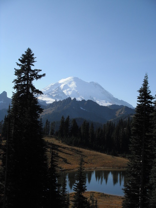 Mt Rainer NP