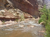 Capital Reef National Park