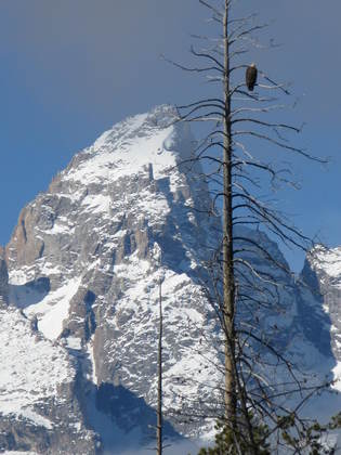 grand teton national park