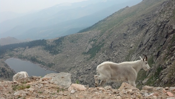 mt evans