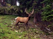 Rocky Mountain National Park