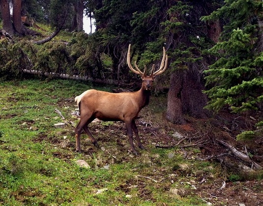 Rocky Mountain National Park