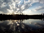 BWCA