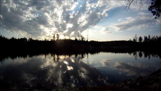 BWCA