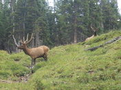 Rocky Mountain National Park