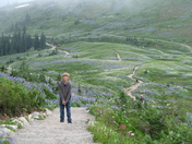 Mt Rainier National Park