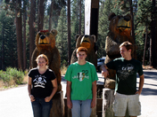 Sequoia National Forest