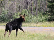 trails end /superior national park