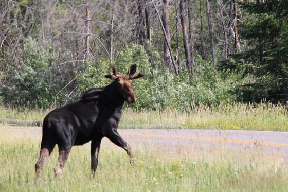 trails end /superior national park