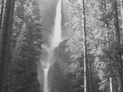 Yosemite National Park