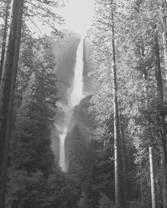 Yosemite National Park