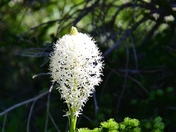 Glacier National Park
