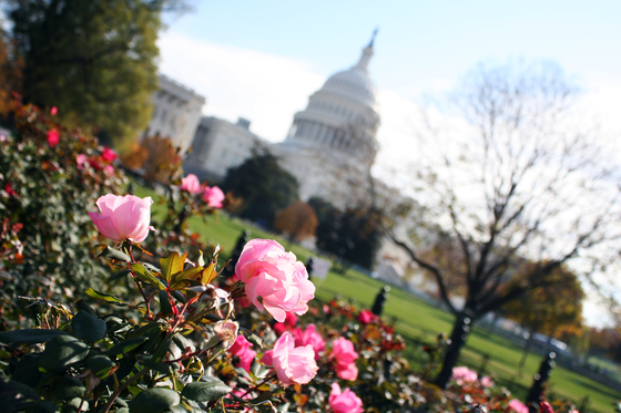 The U.S. Capitol Building in Washington D.C.