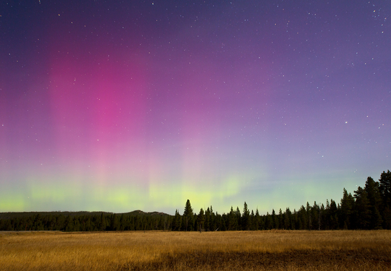 Yellowstone National Park