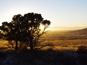 Great Sand Dunes National Park