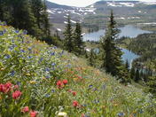 Flat Tops Wilderness Area