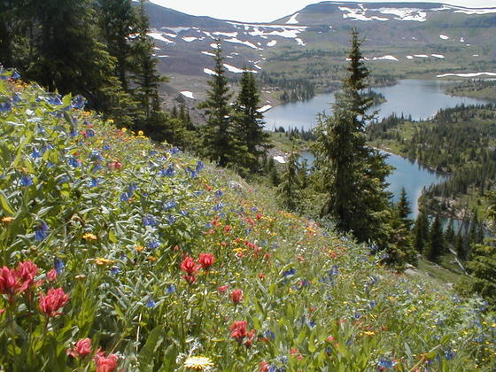 Flat Tops Wilderness Area