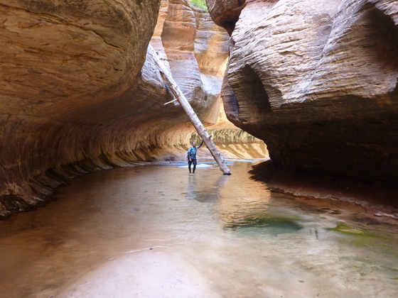 Zion National Park