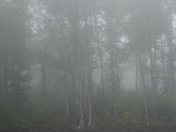 Great Smoky Mountains