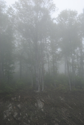 Great Smoky Mountains