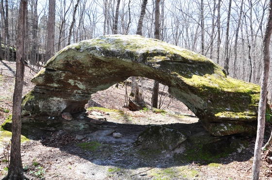 Shawnee National Forest