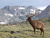 Rocky Mountain National Park