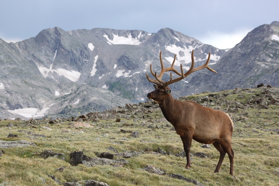 Rocky Mountain National Park