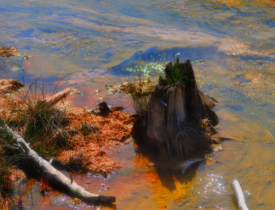 Yellowstone