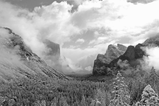 Yosemite National Park