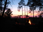 Ocala National Forest