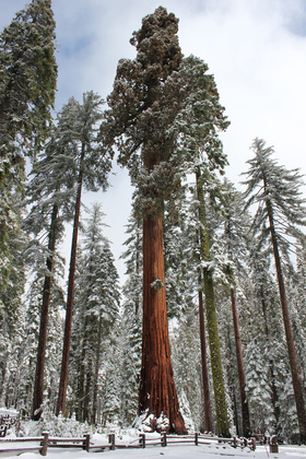 Yosemite