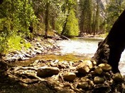California 180, KINGS CANYON NATIONAL PK