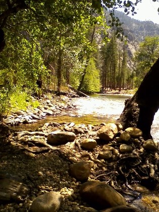 California 180, KINGS CANYON NATIONAL PK