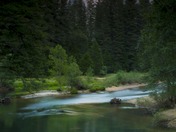 Yosemite National Park