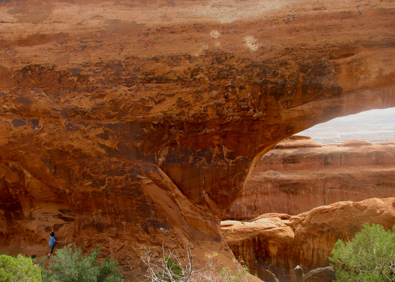 Arches