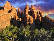 Arches National Park