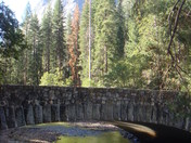 Yosemite National Park