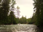 Chugach National Forest