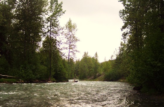 Chugach National Forest