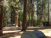 Yosemite National Park