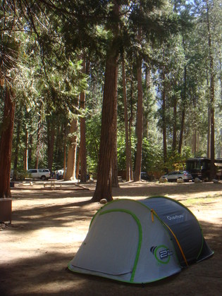 Yosemite National Park
