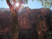 Zion National Park