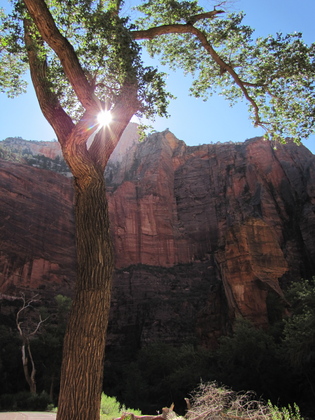 Zion National Park