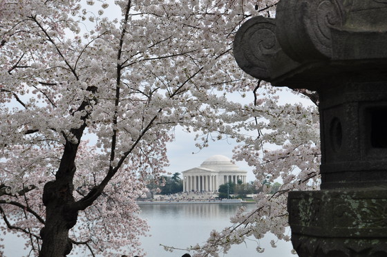 Jefferson Memorial