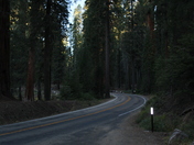 Sequoia National Park